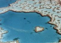 Great Barrier Reef 3001 Heart Reef, 40 miles off Airlie Beach, Queensland